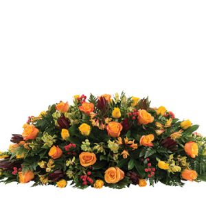 Autumnal Blooms