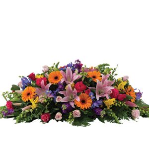 Rainbow Blooms