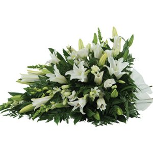 Purity Tribute