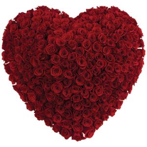 Deluxe Heart 40CM